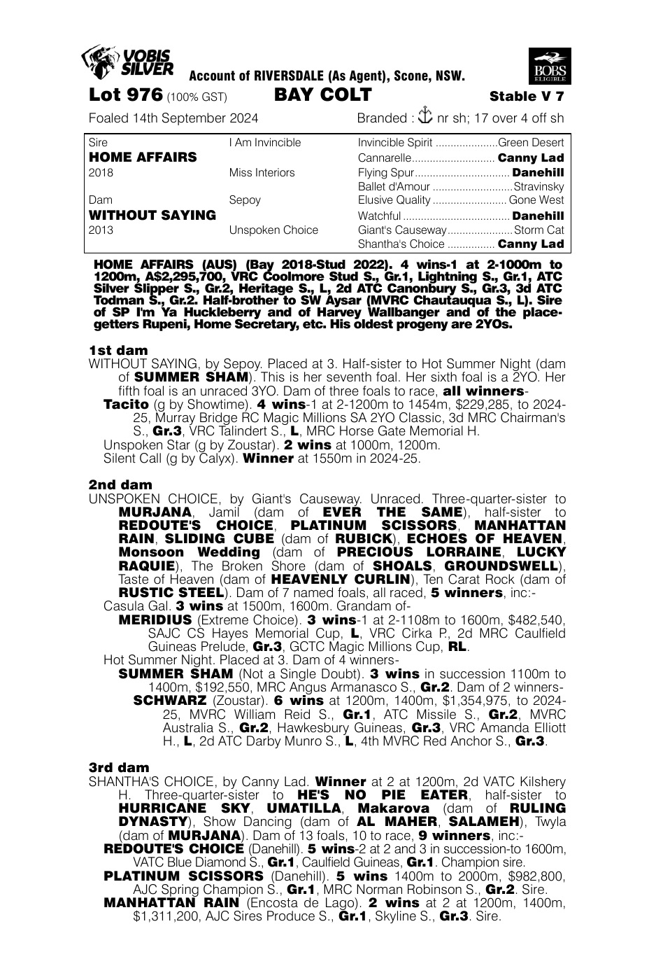 Pedigree - Lot 976