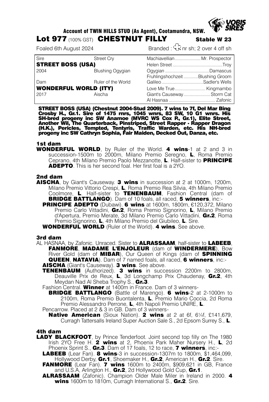 Pedigree - Lot 977