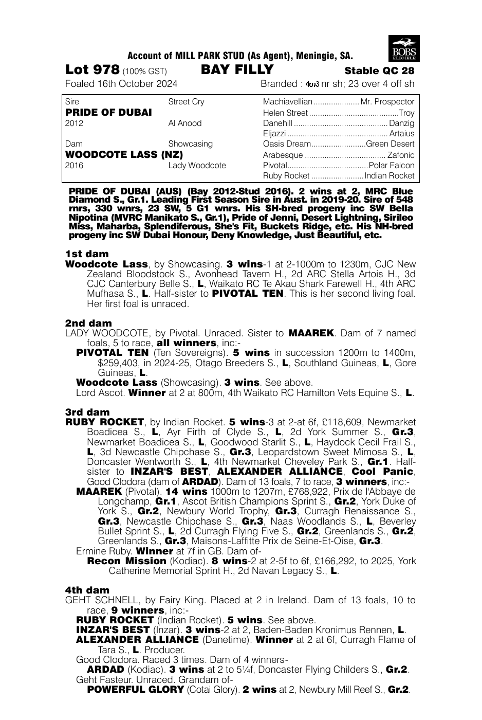 Pedigree - Lot 978