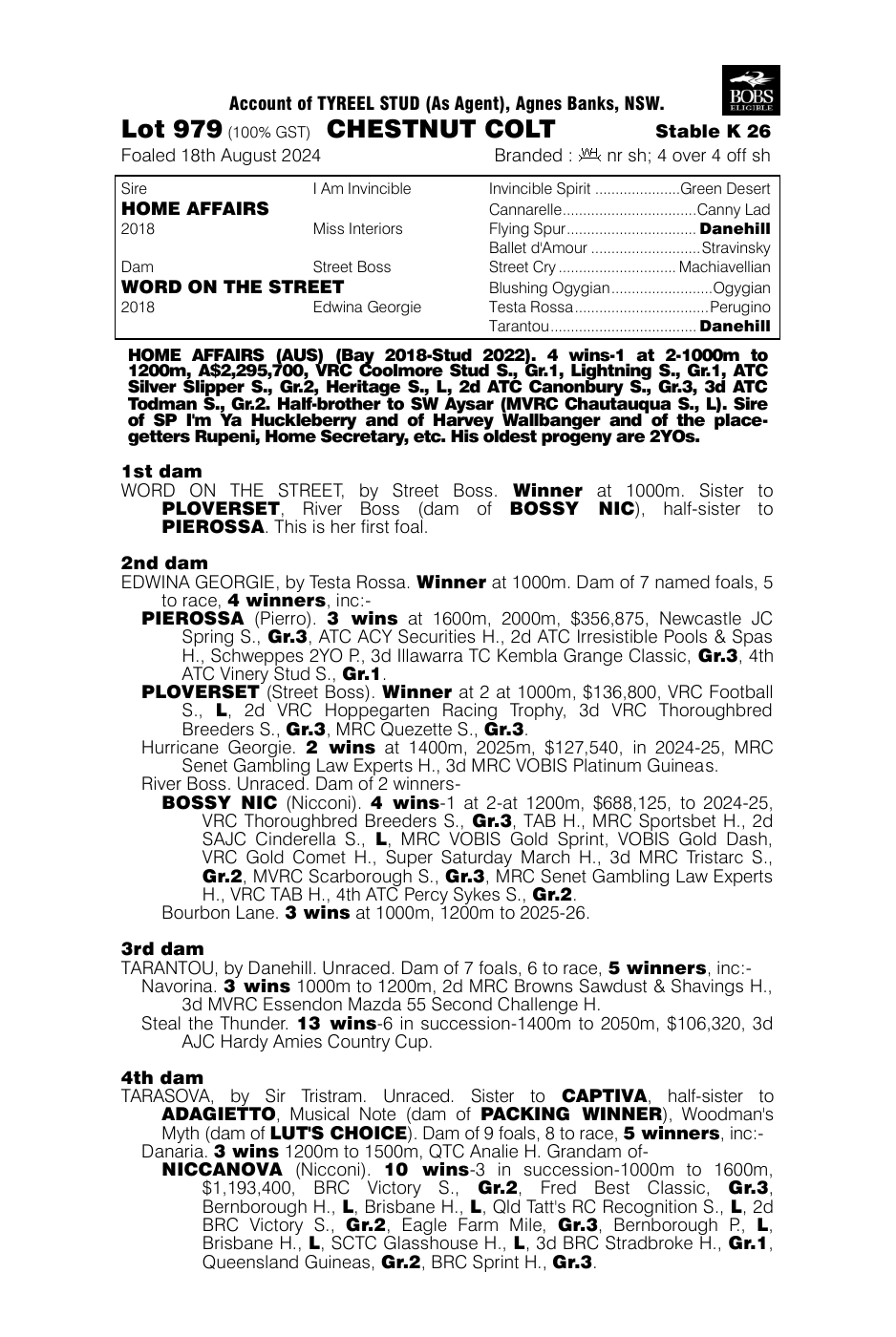 Pedigree - Lot 979