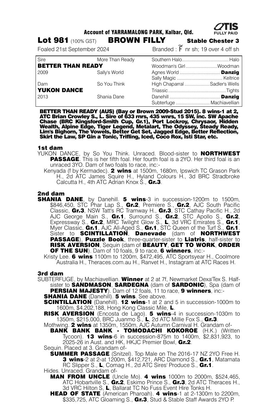 Pedigree - Lot 981