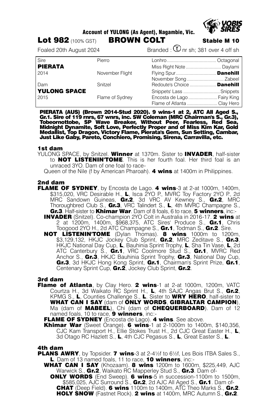Pedigree - Lot 982