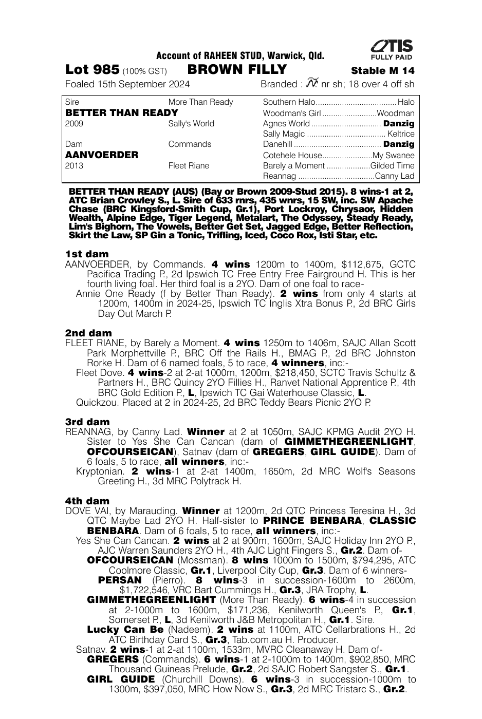 Pedigree - Lot 985