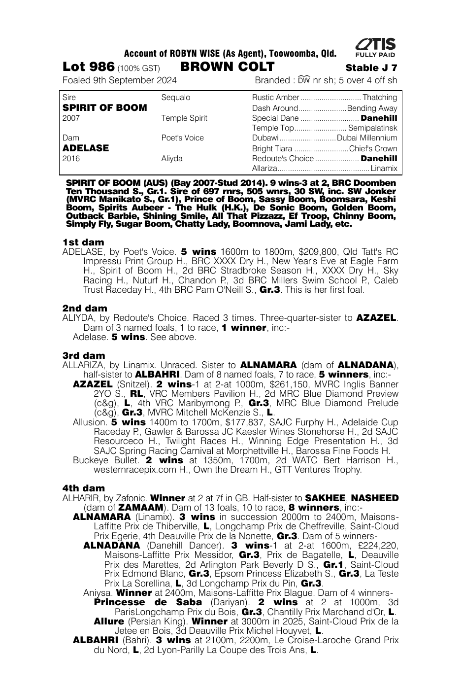 Pedigree - Lot 986