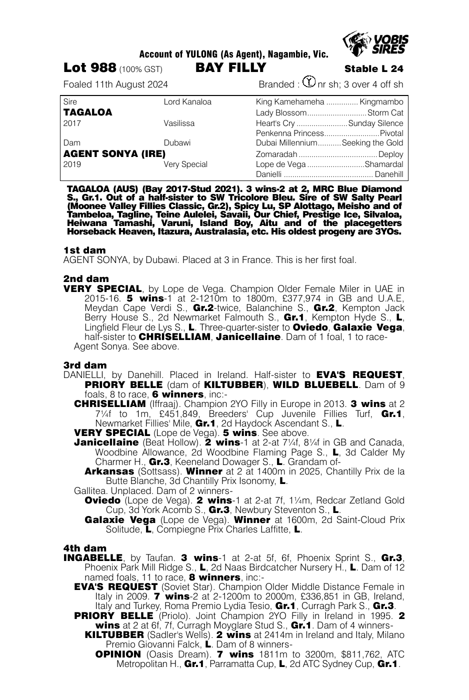 Pedigree - Lot 988