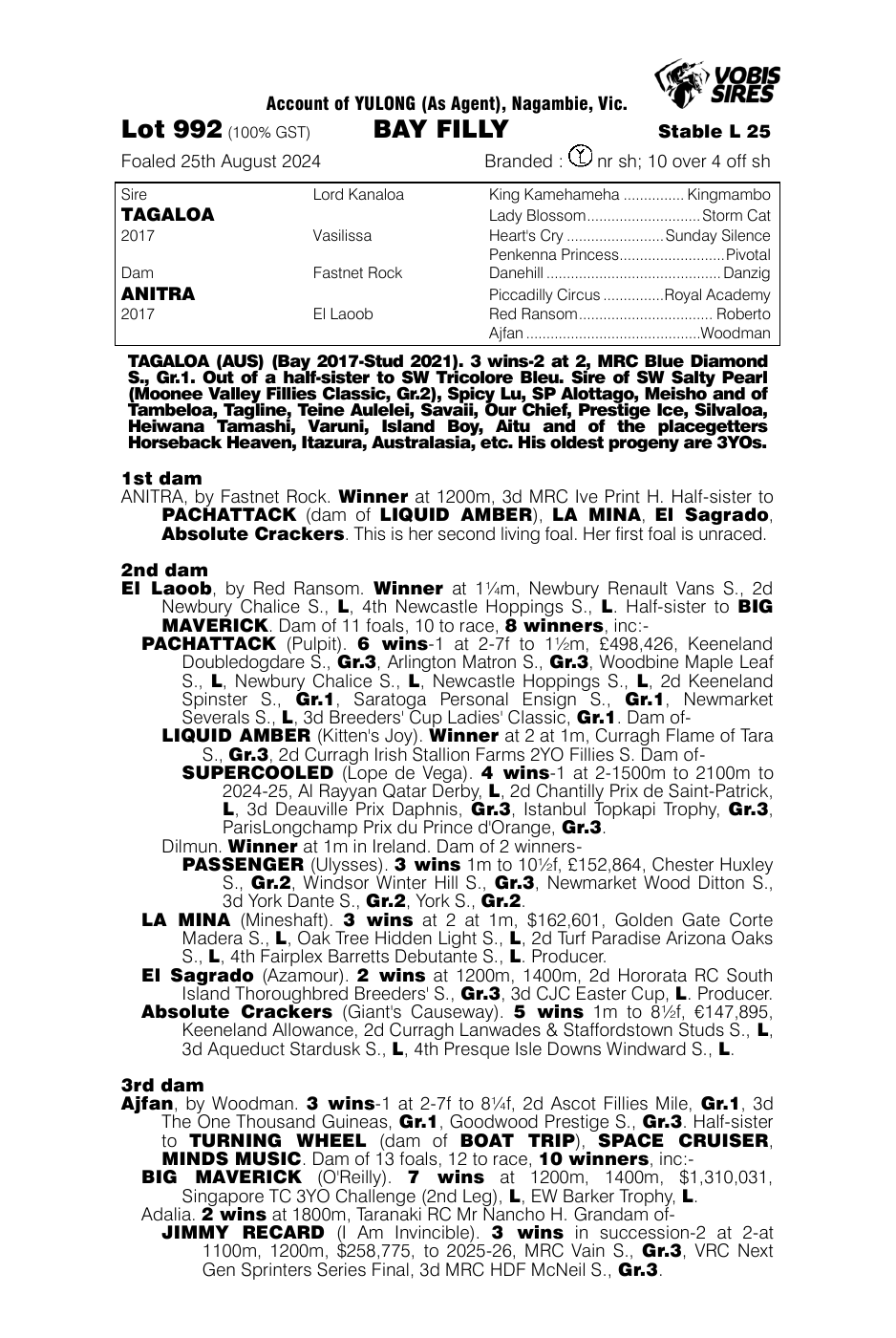 Pedigree - Lot 992