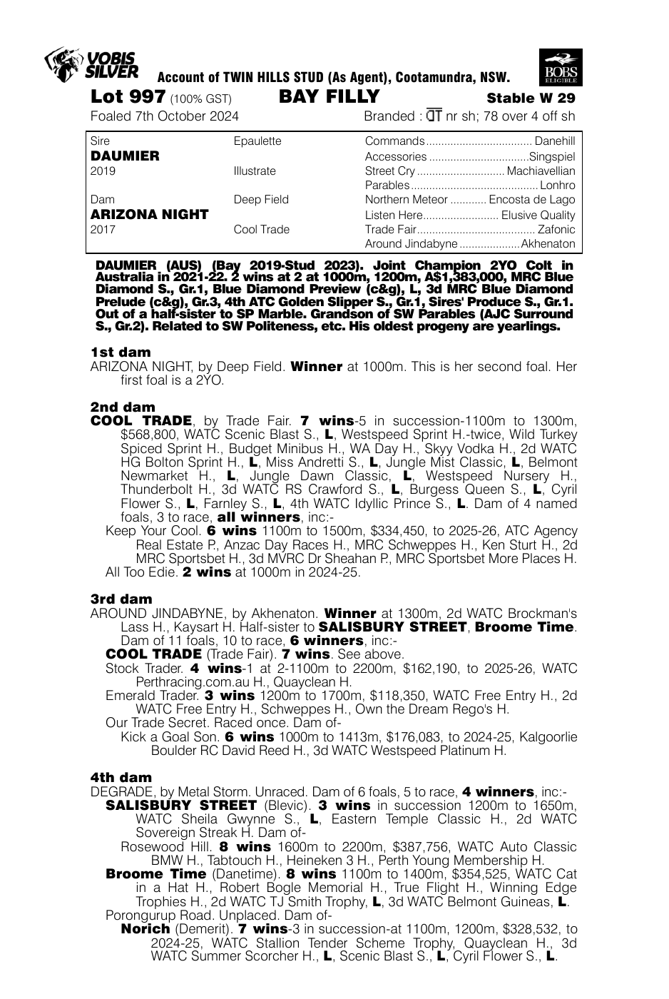 Pedigree - Lot 997