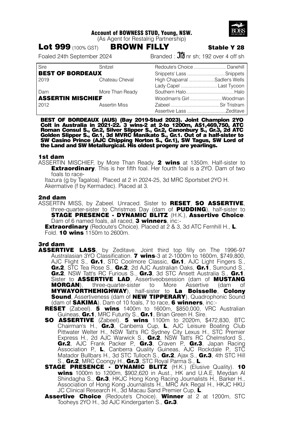 Pedigree - Lot 999