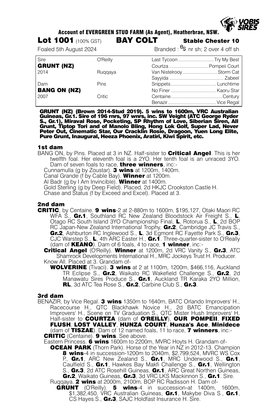 Pedigree - Lot 1001