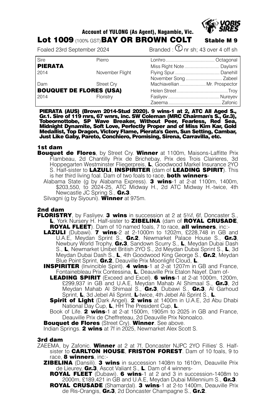 Pedigree - Lot 1009