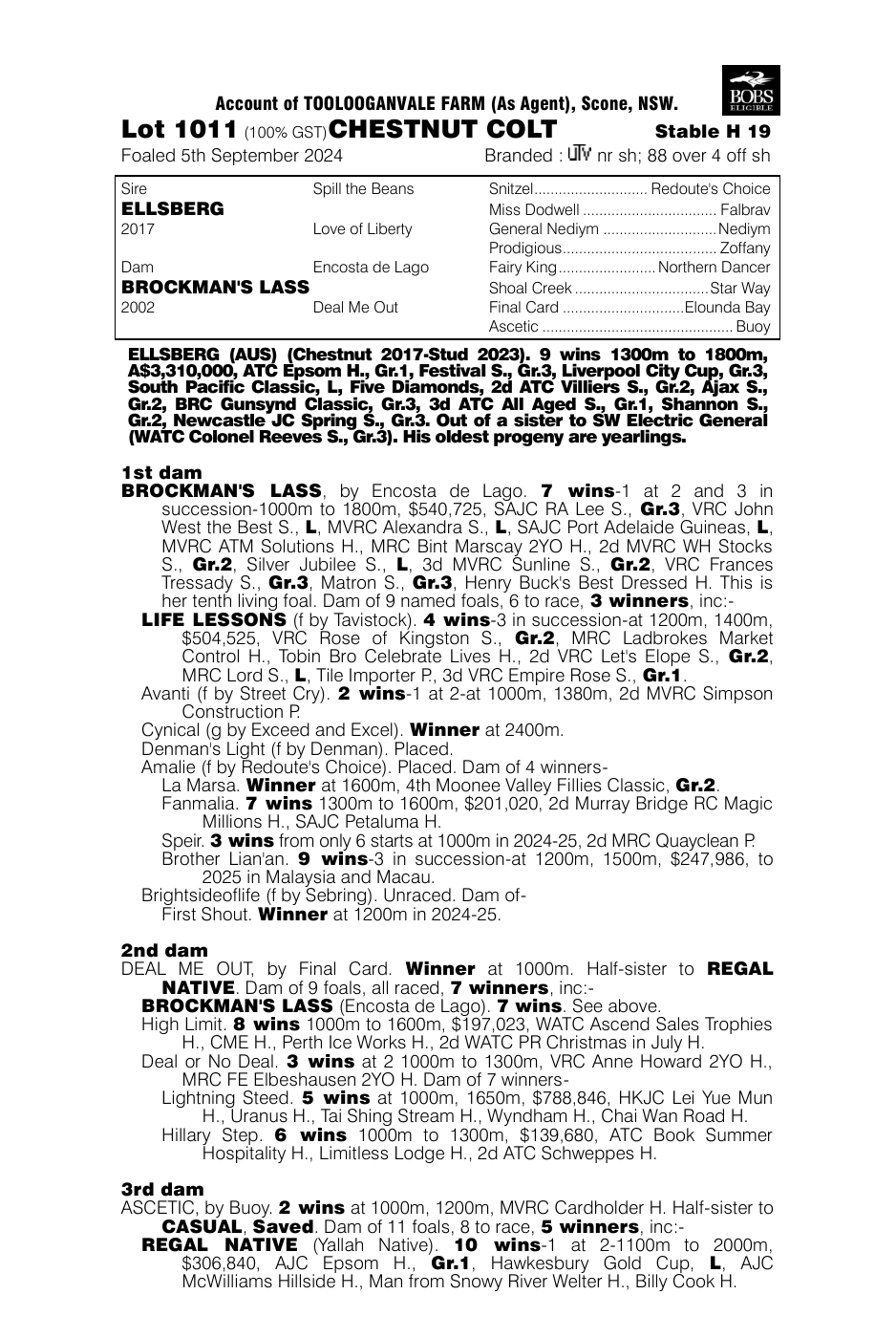 Pedigree - Lot 1011
