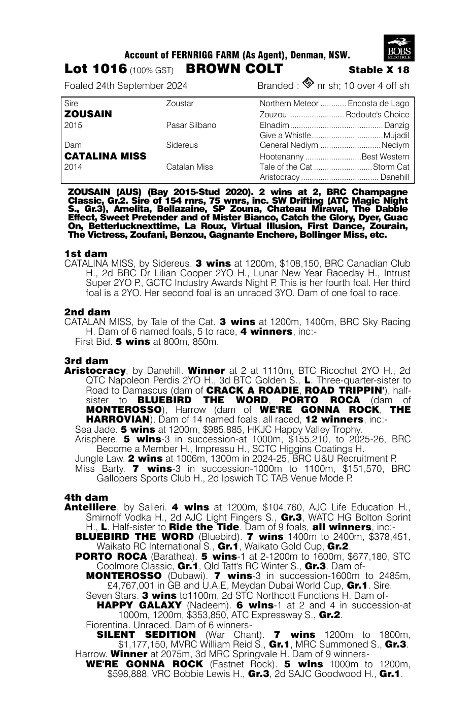 Pedigree - Lot 1016