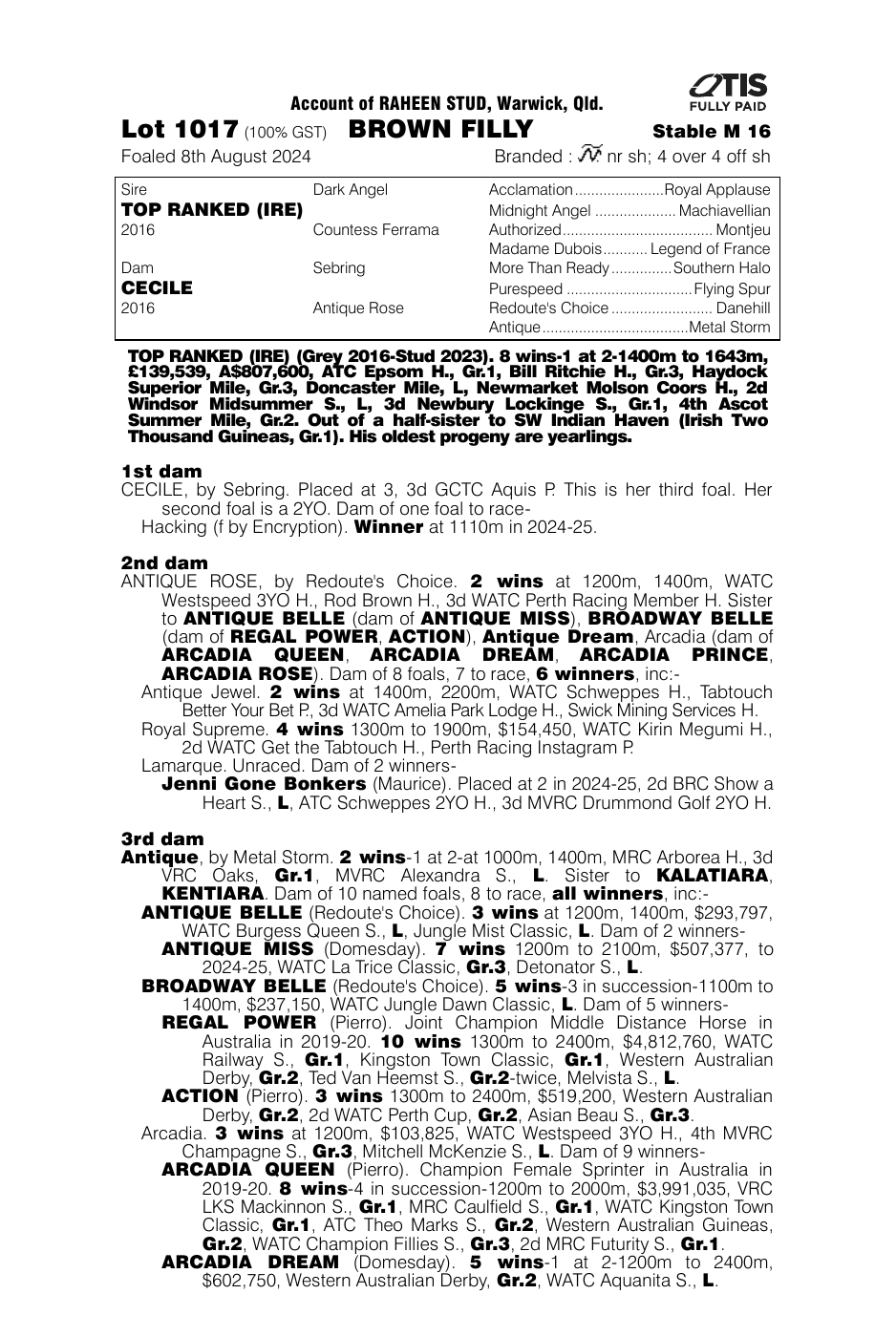 Pedigree - Lot 1017