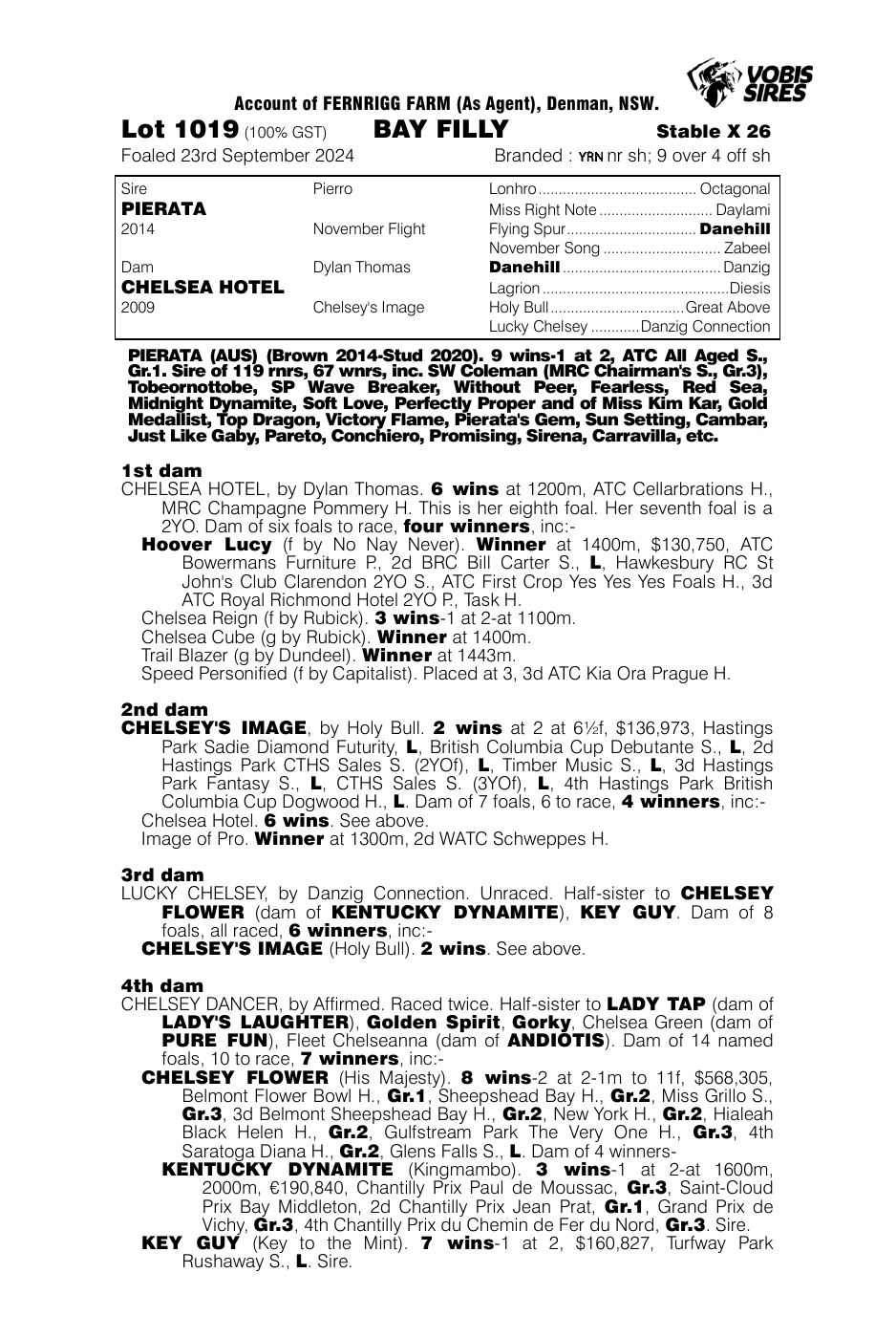Pedigree - Lot 1019