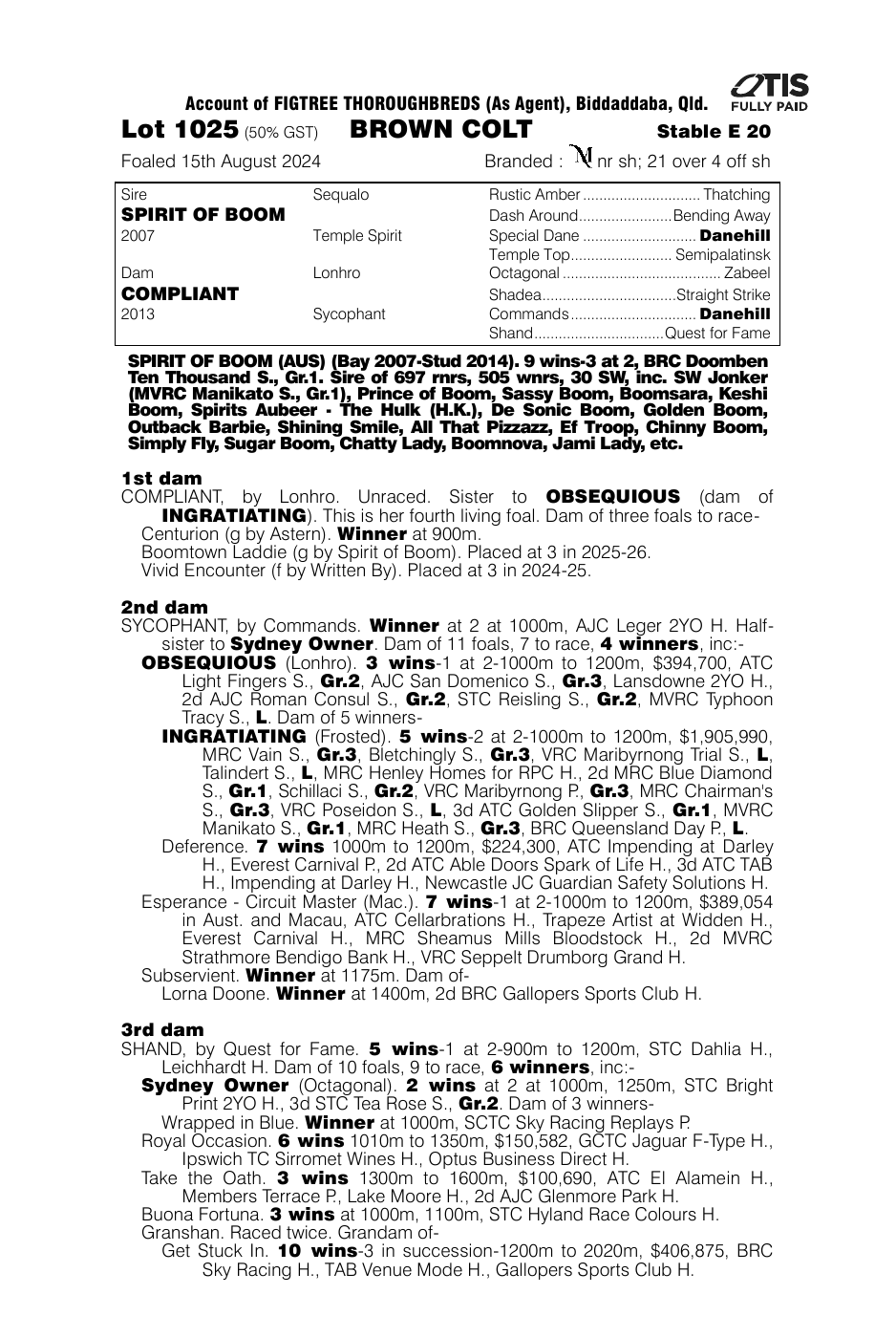 Pedigree - Lot 1025
