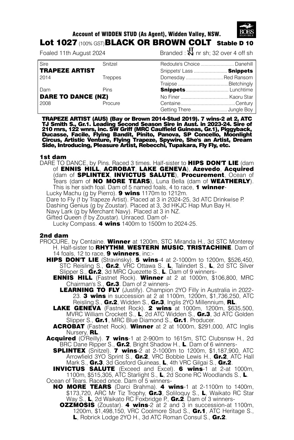 Pedigree - Lot 1027