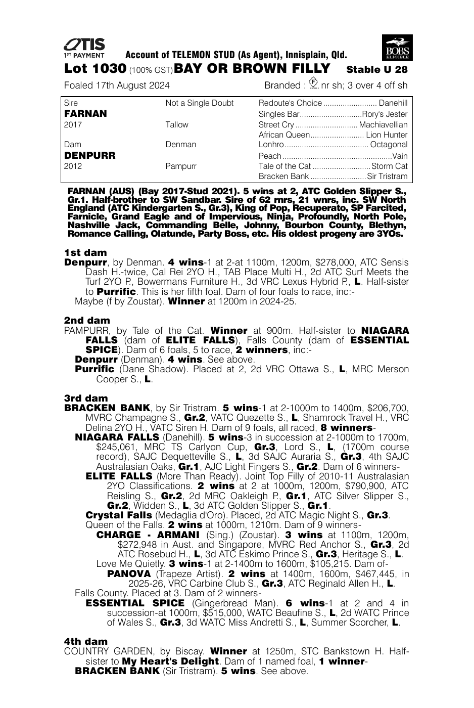 Pedigree - Lot 1030
