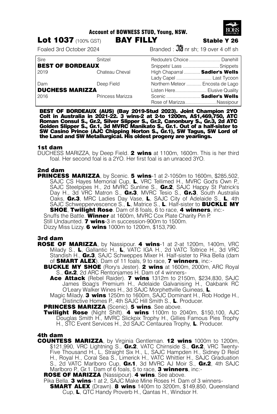 Pedigree - Lot 1037