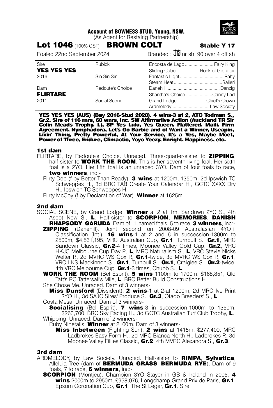 Pedigree - Lot 1046