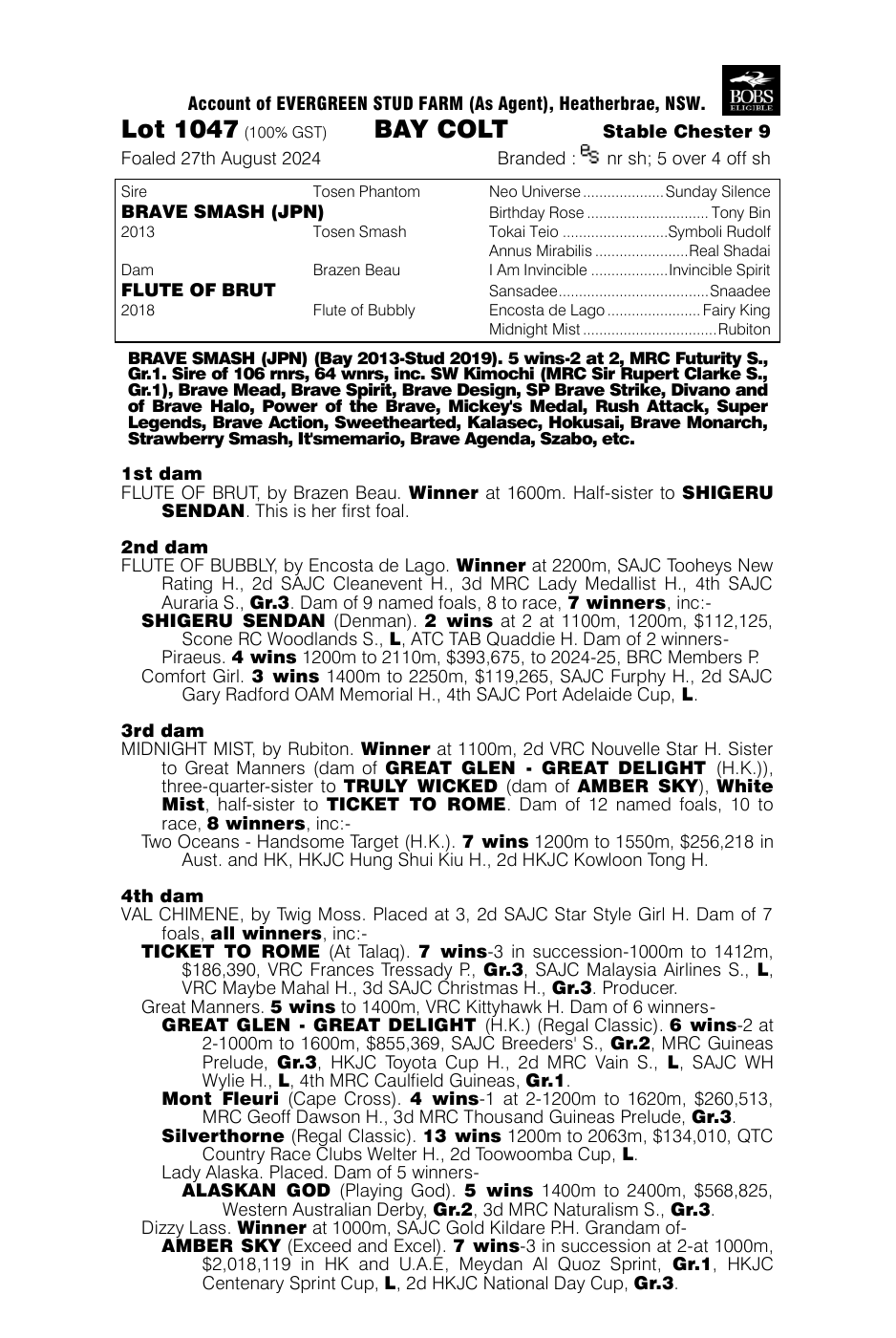 Pedigree - Lot 1047