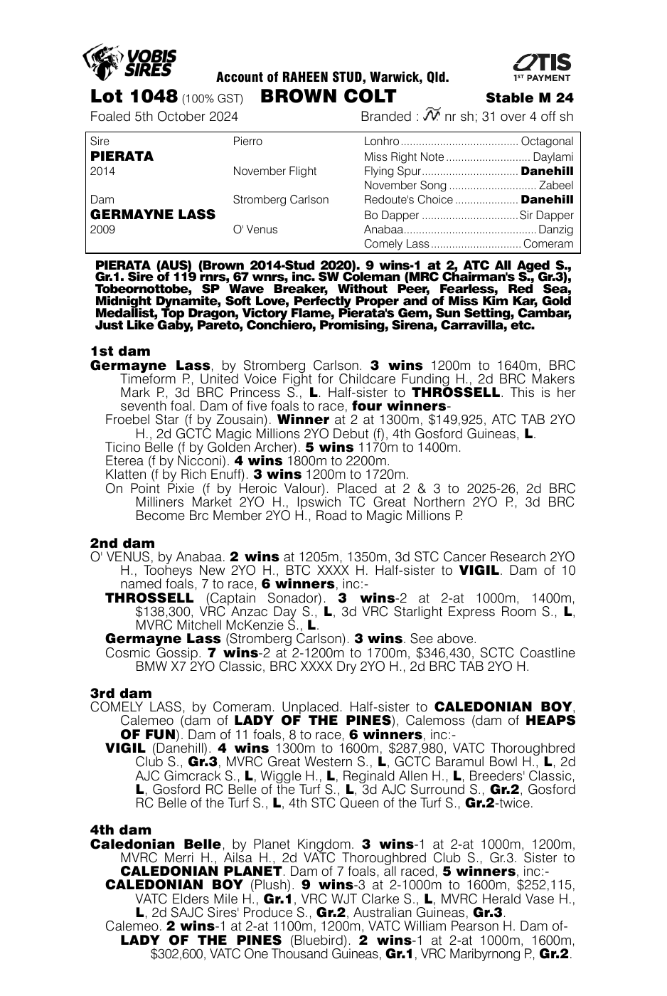 Pedigree - Lot 1048