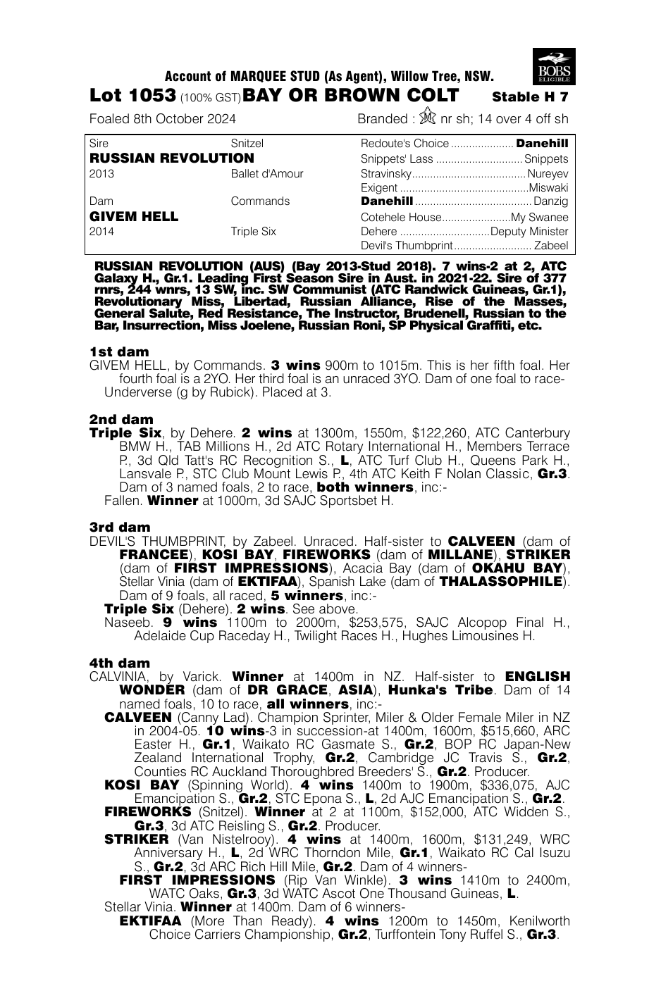 Pedigree - Lot 1053