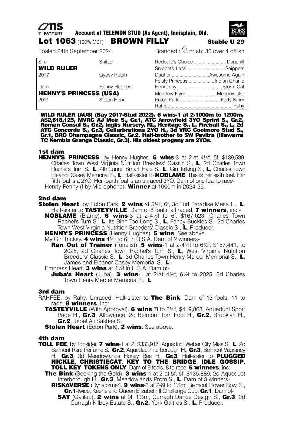Pedigree - Lot 1063