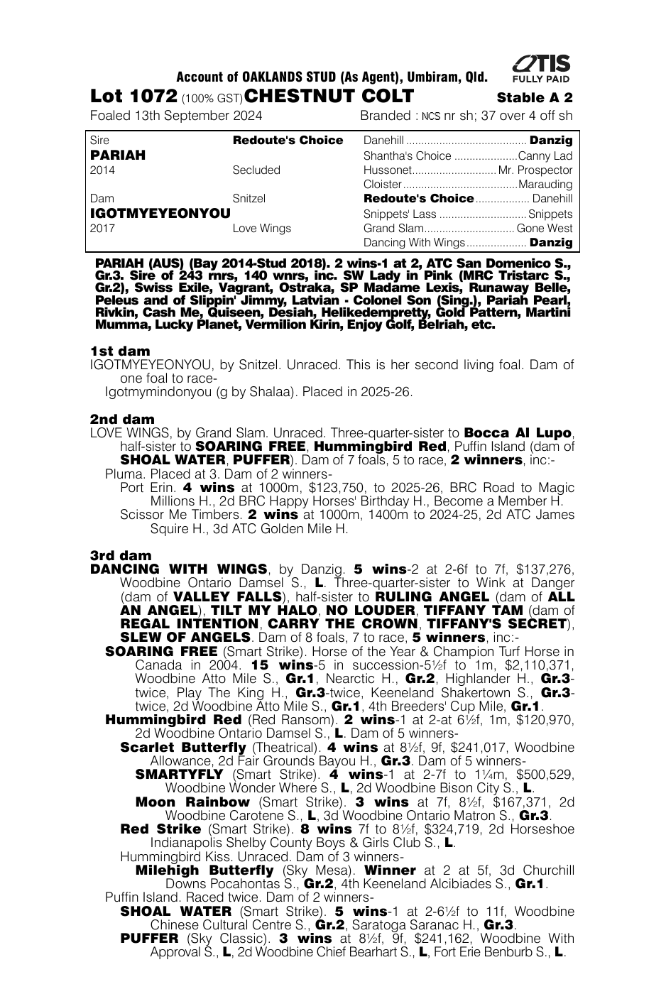 Pedigree - Lot 1072