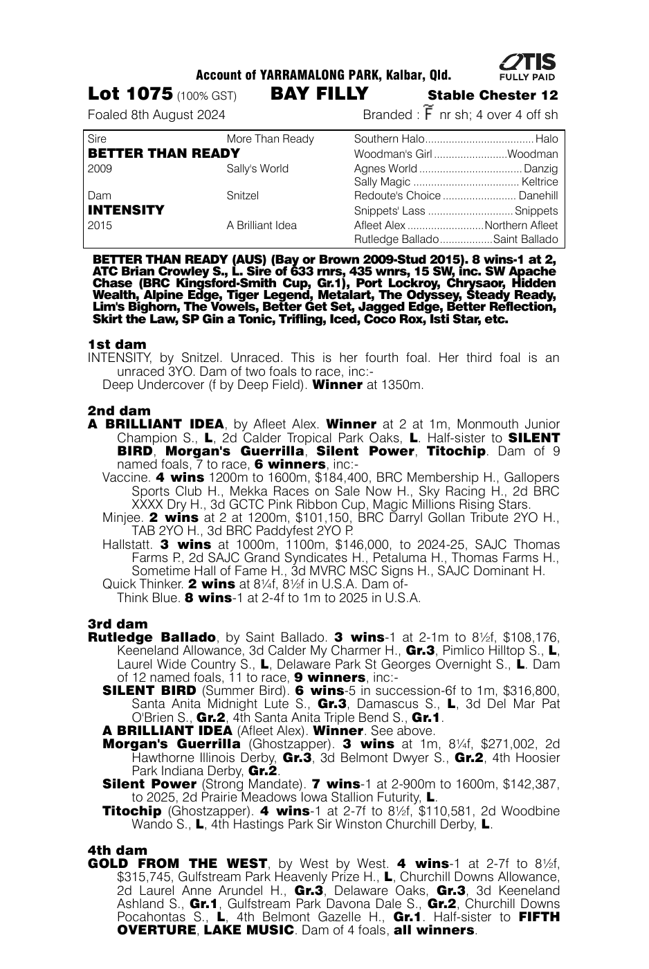 Pedigree - Lot 1075