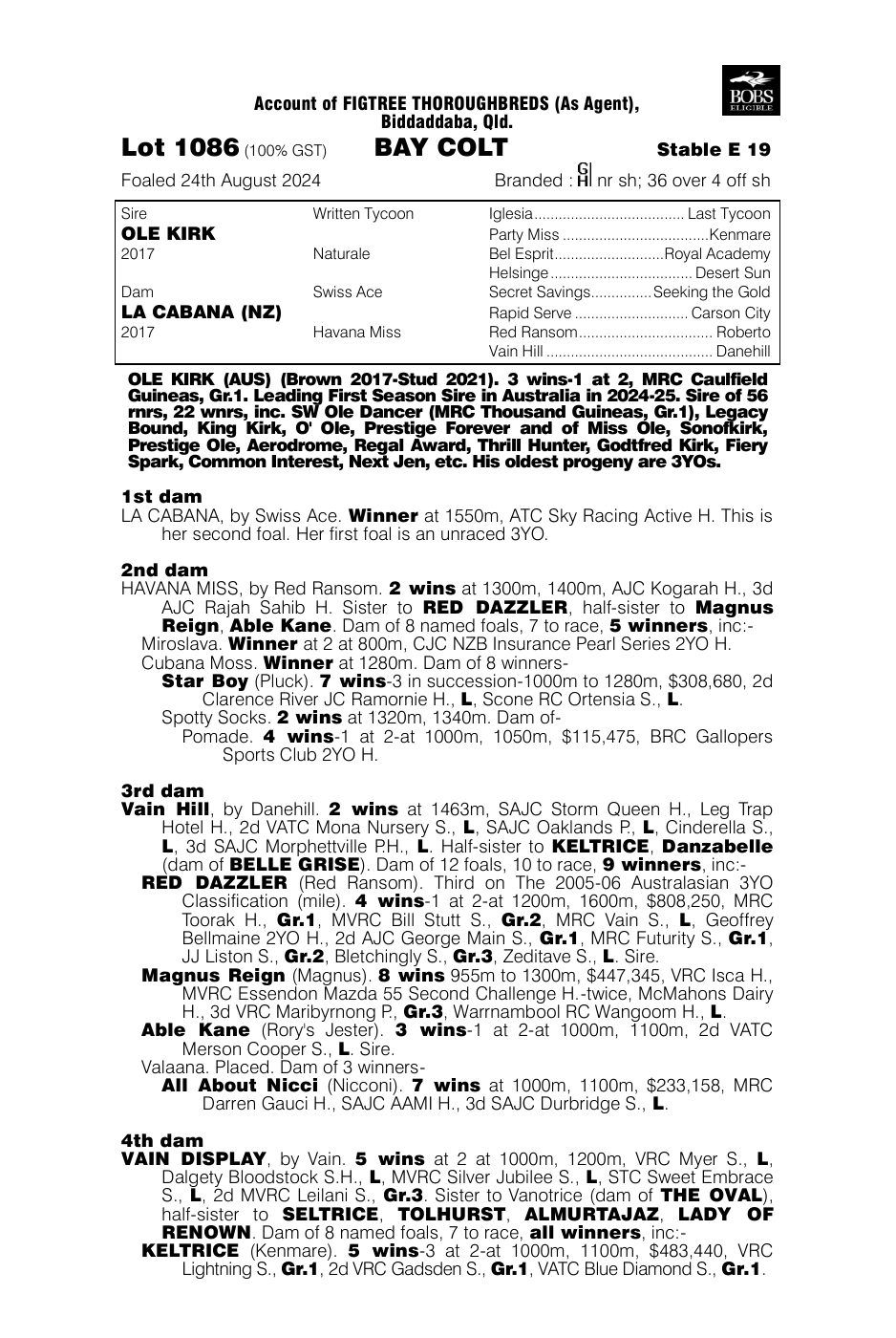 Pedigree - Lot 1086