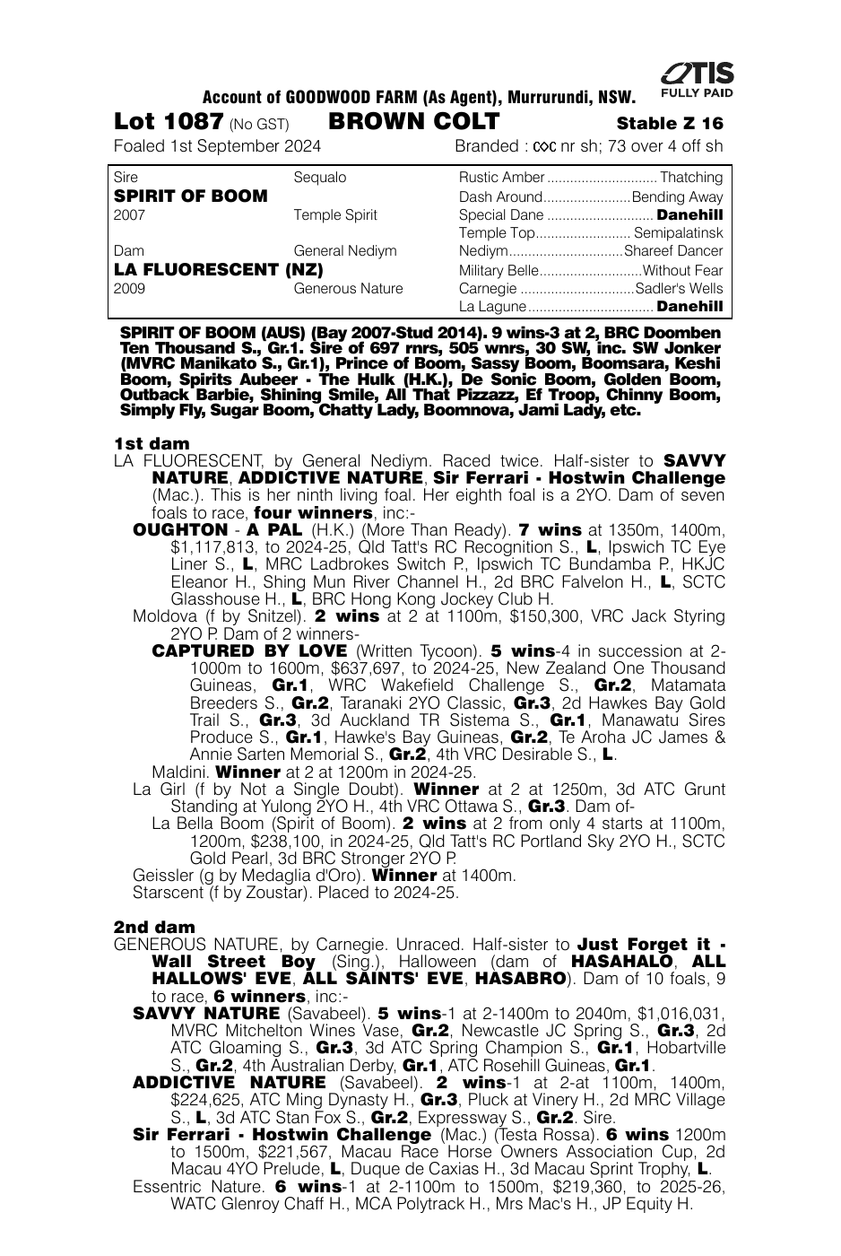 Pedigree - Lot 1087