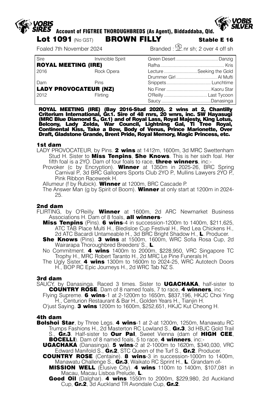 Pedigree - Lot 1091