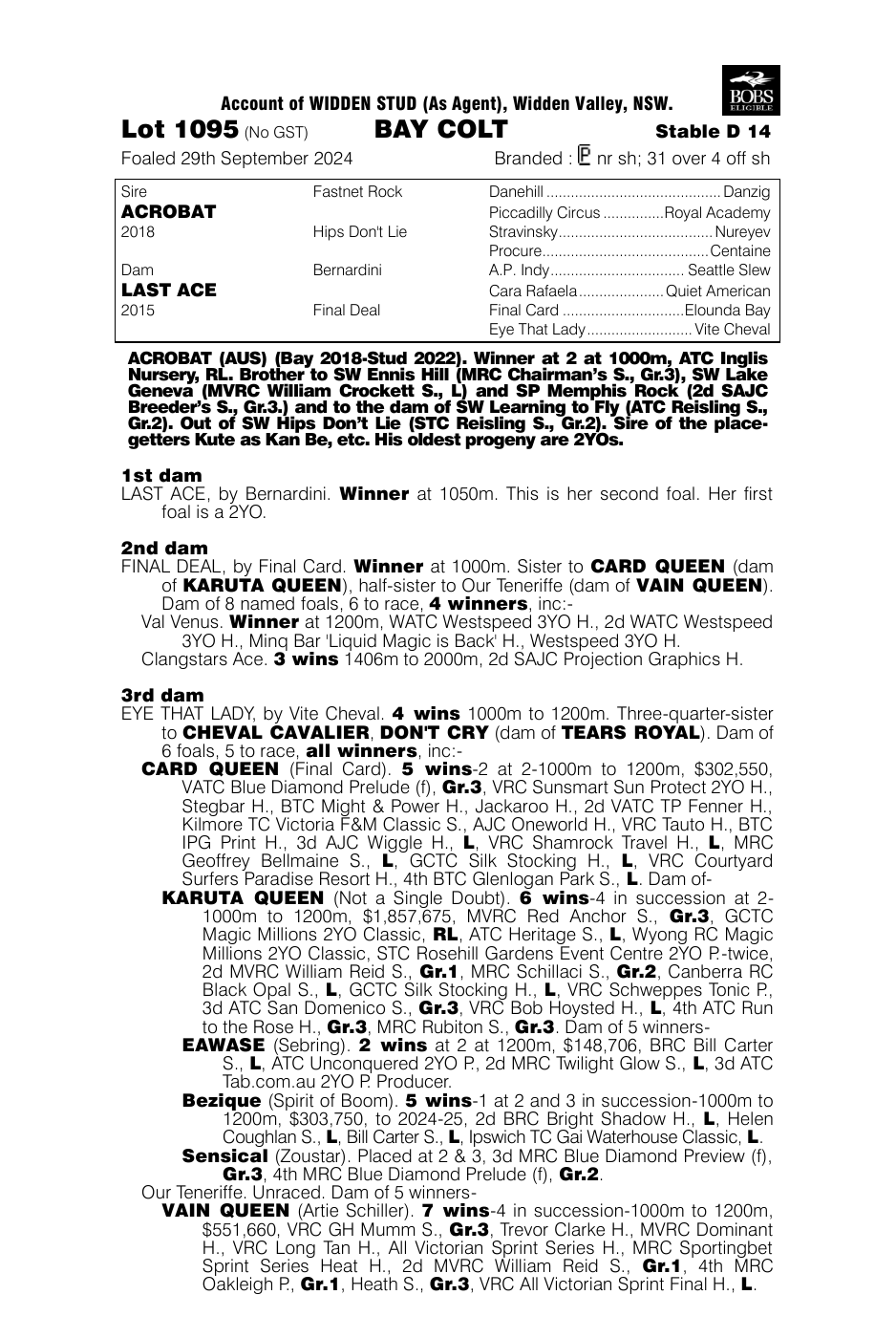 Pedigree - Lot 1095