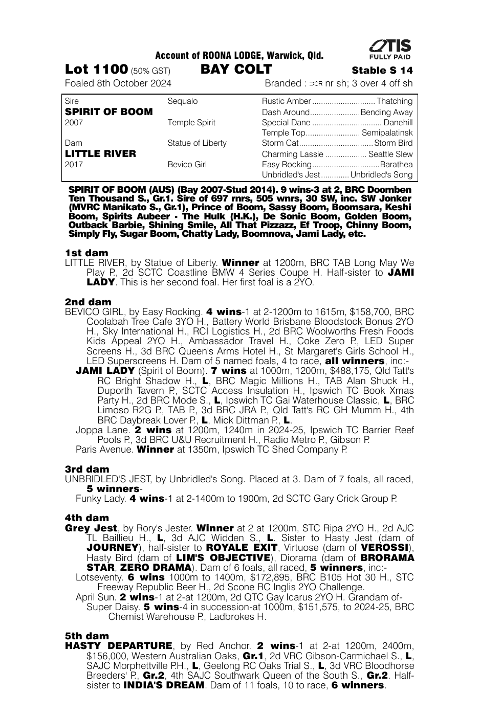 Pedigree - Lot 1100