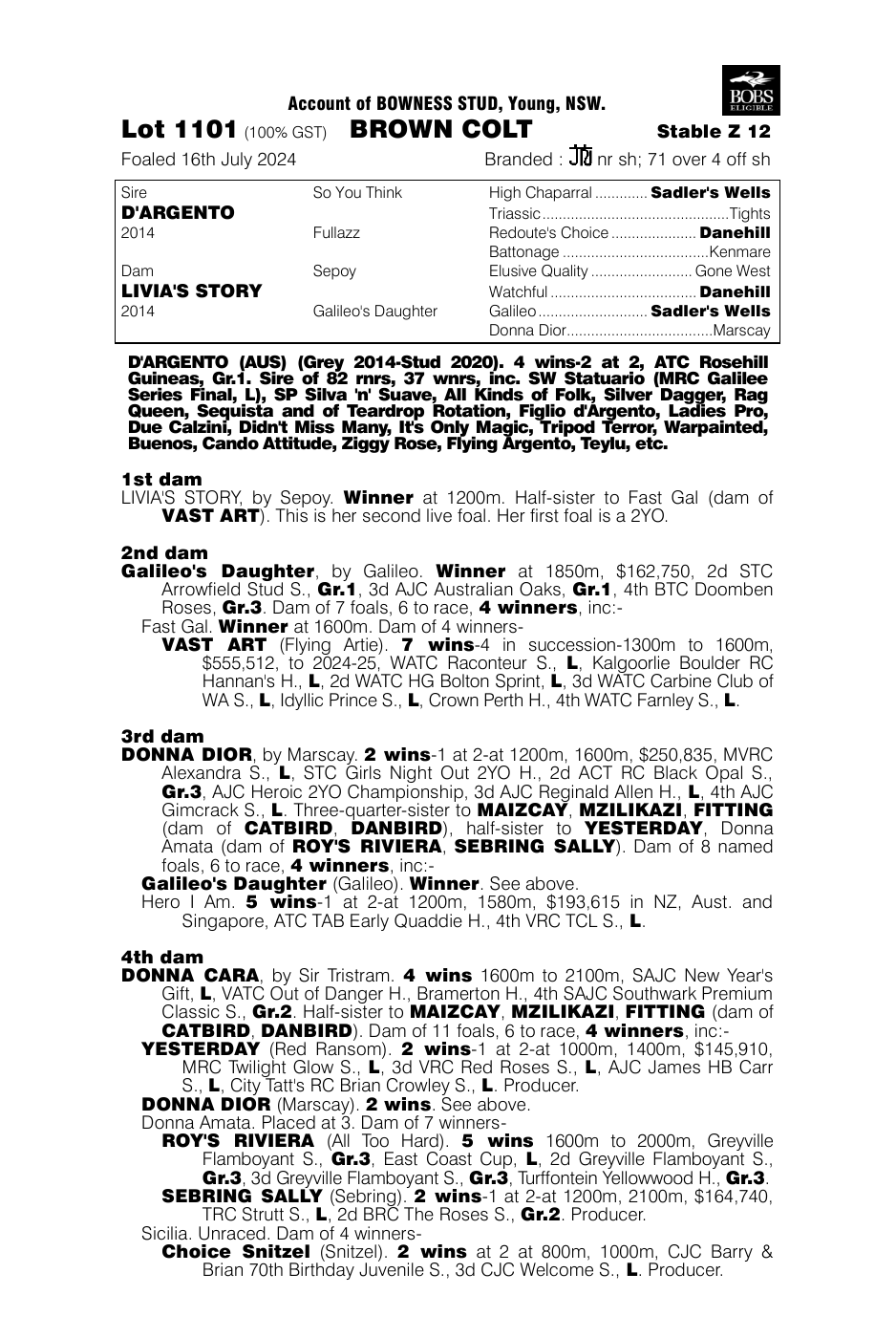 Pedigree - Lot 1101