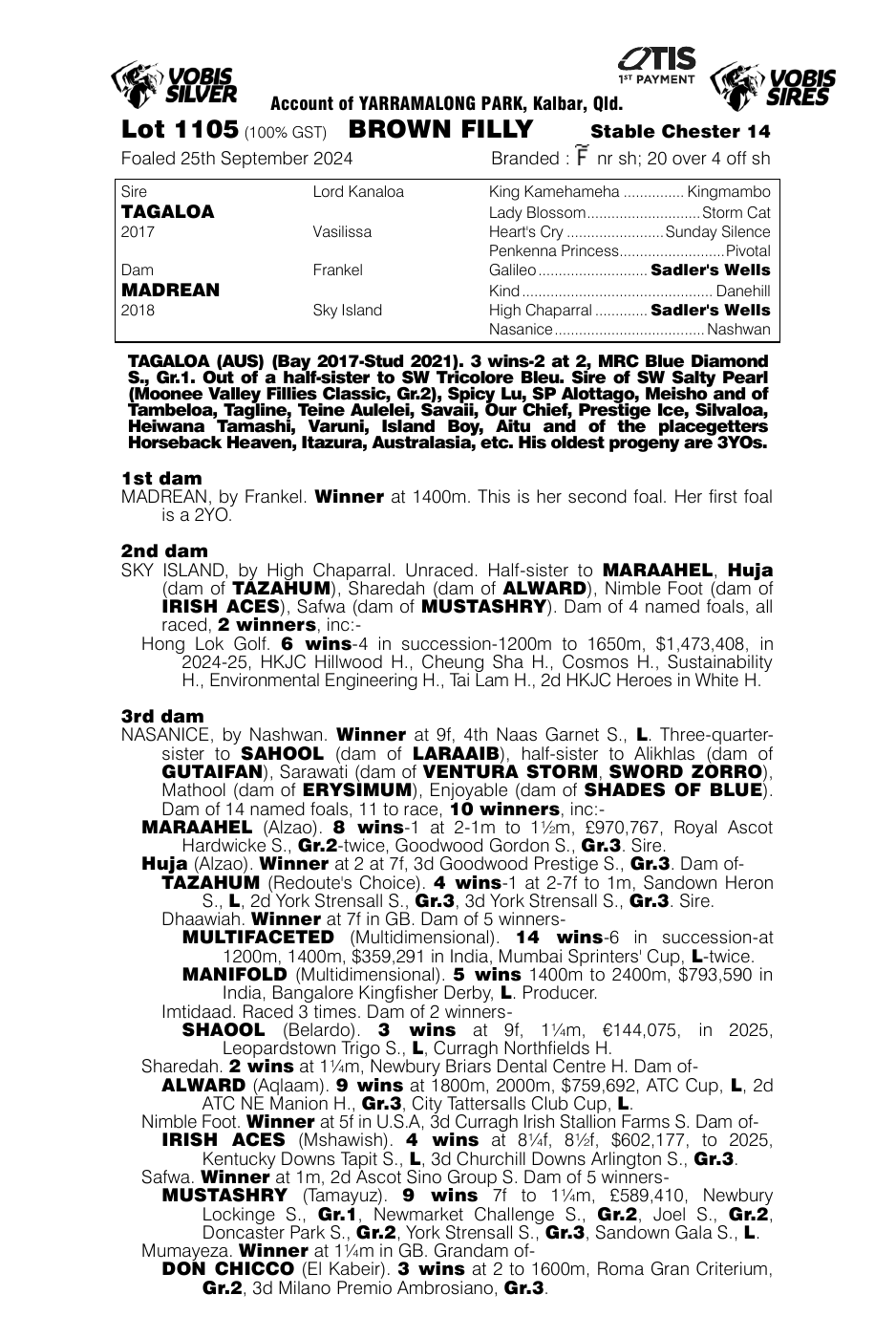 Pedigree - Lot 1105