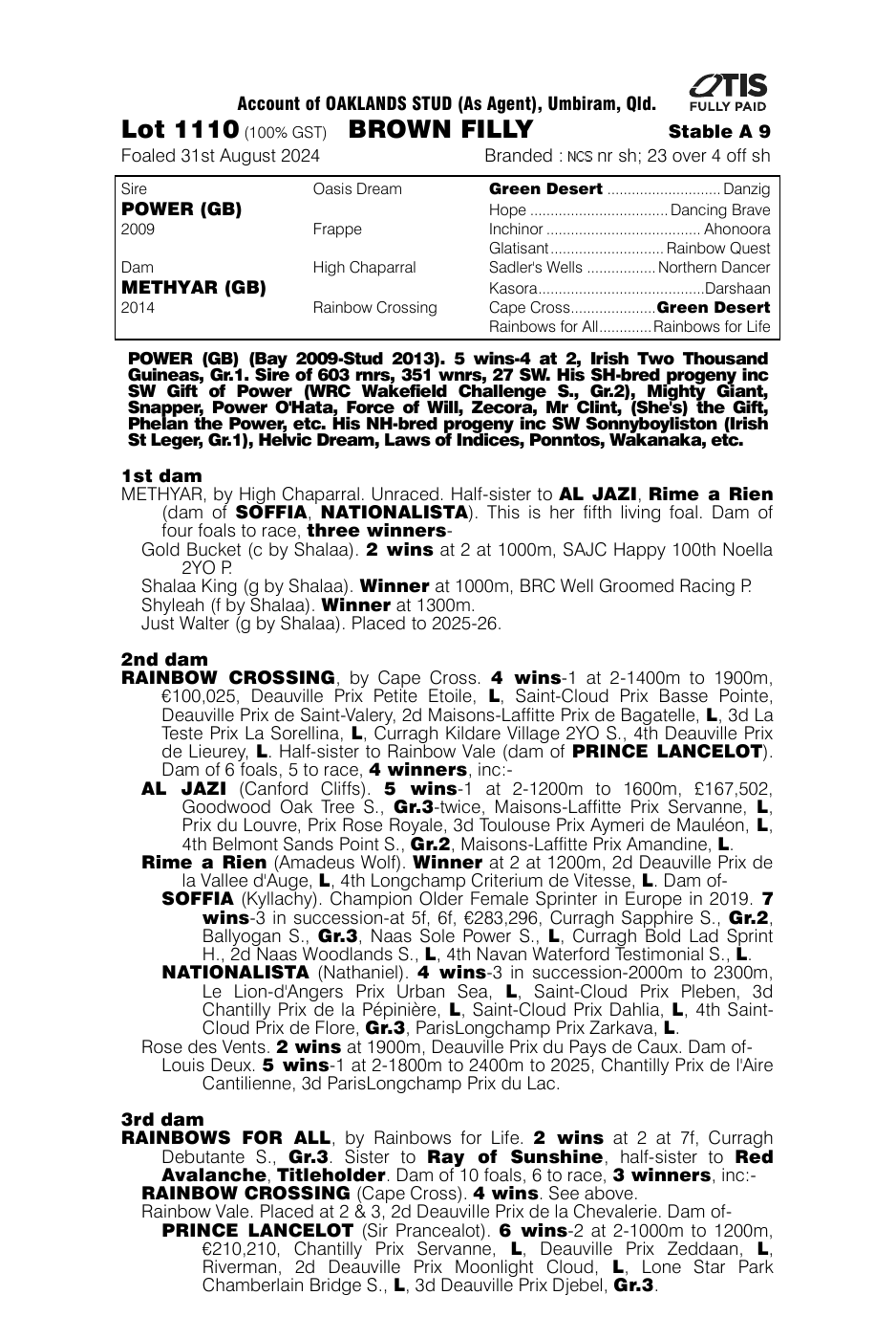 Pedigree - Lot 1110