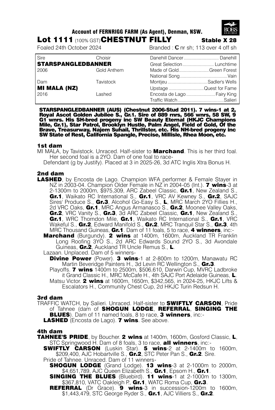 Pedigree - Lot 1111