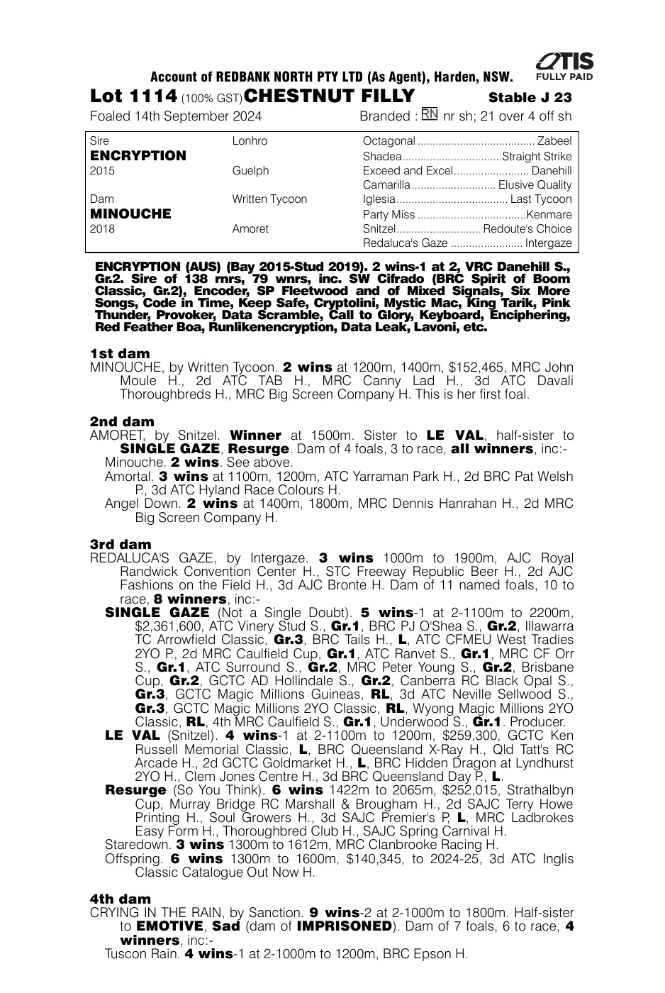 Pedigree - Lot 1114