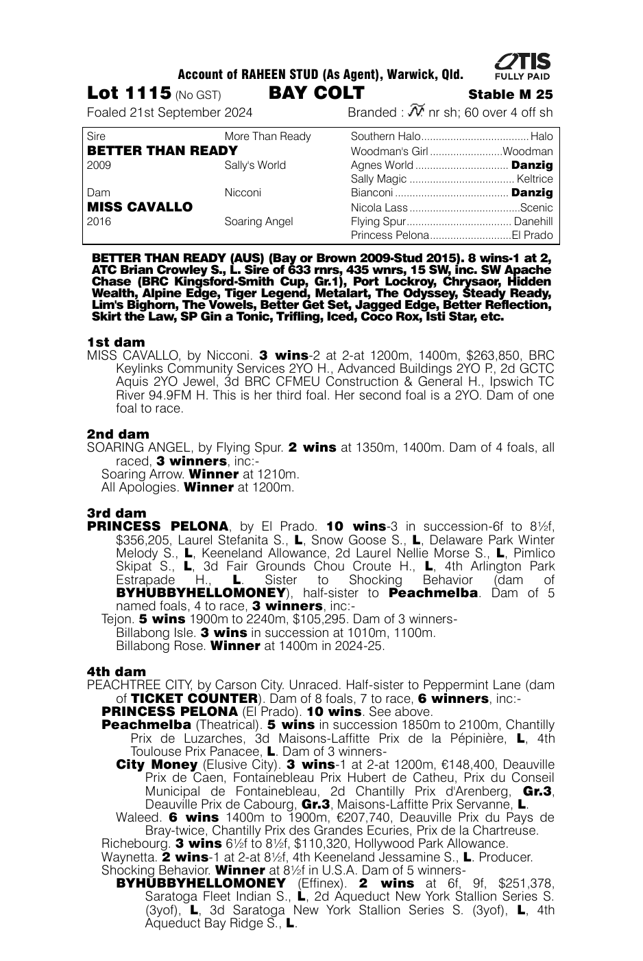 Pedigree - Lot 1115