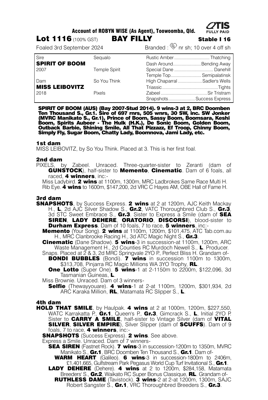 Pedigree - Lot 1116