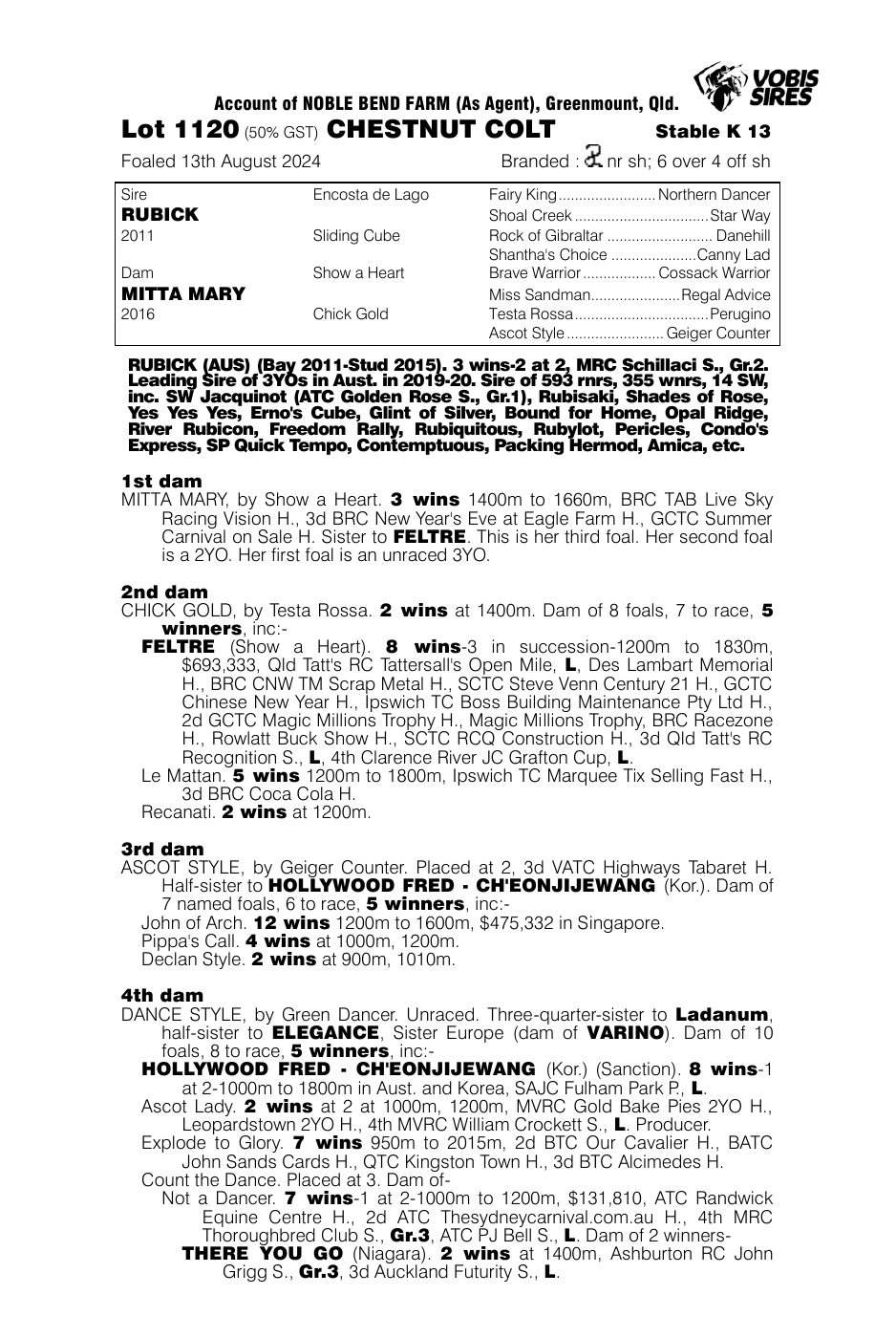 Pedigree - Lot 1120