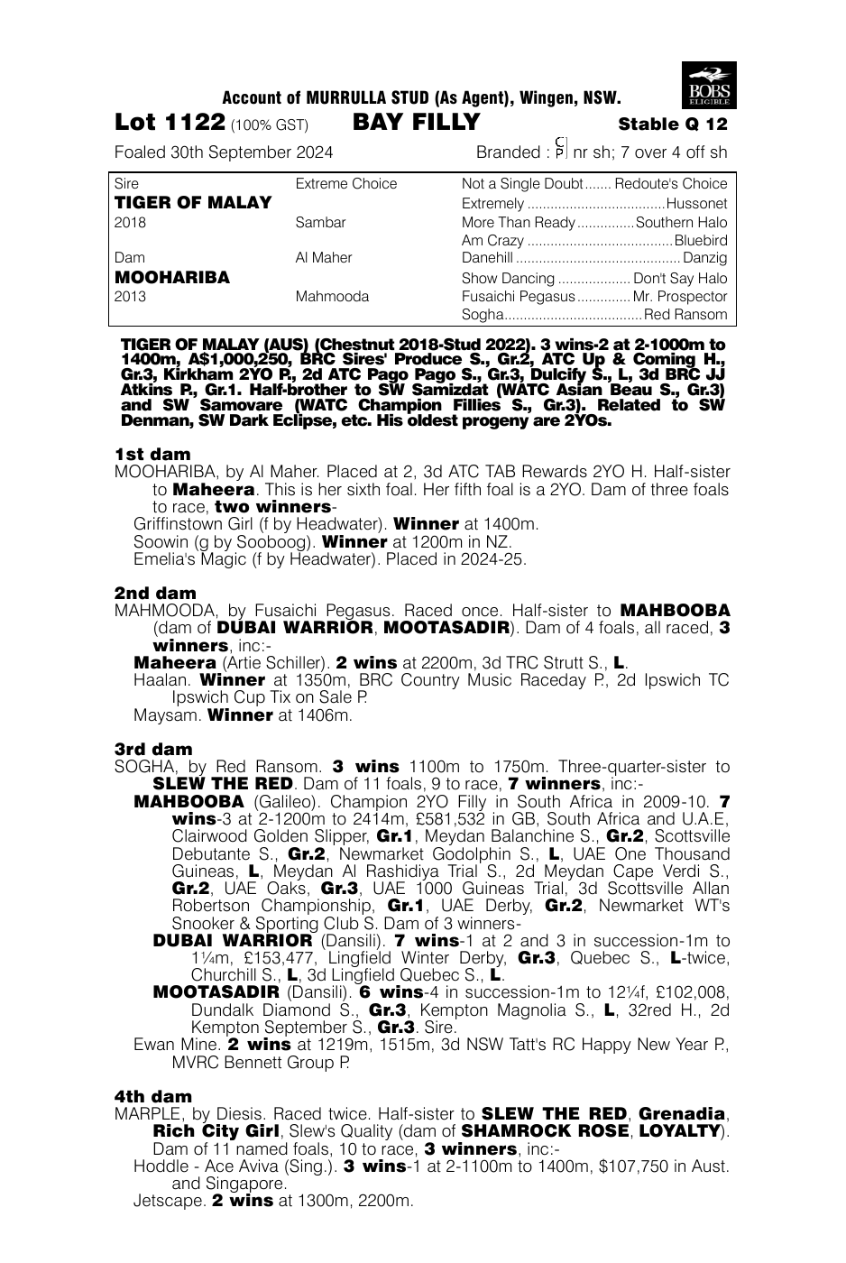 Pedigree - Lot 1122