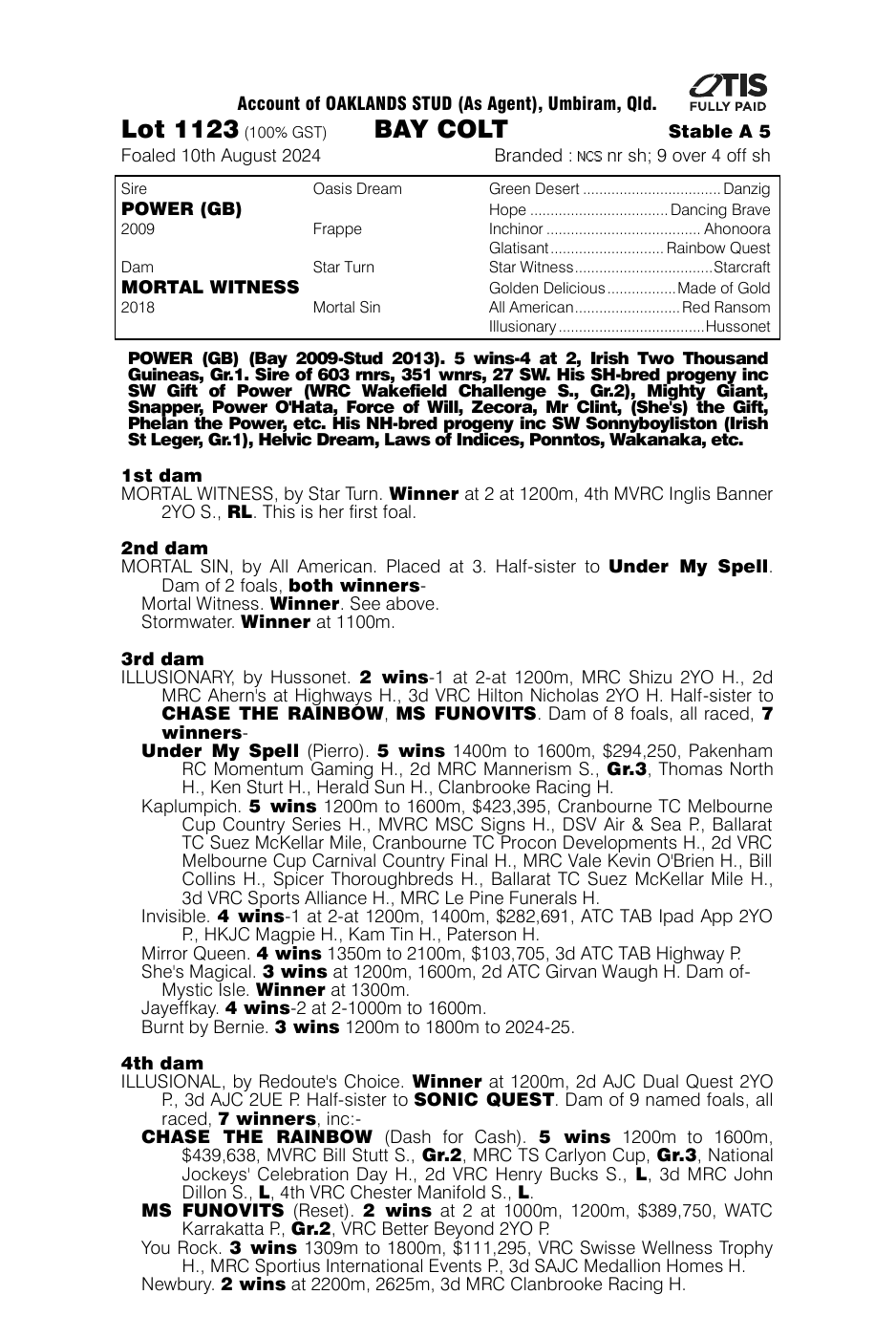 Pedigree - Lot 1123