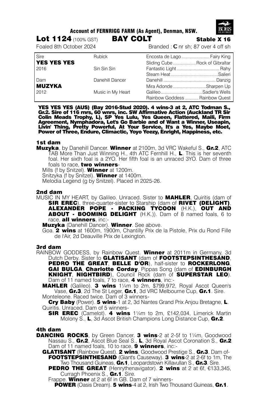 Pedigree - Lot 1124