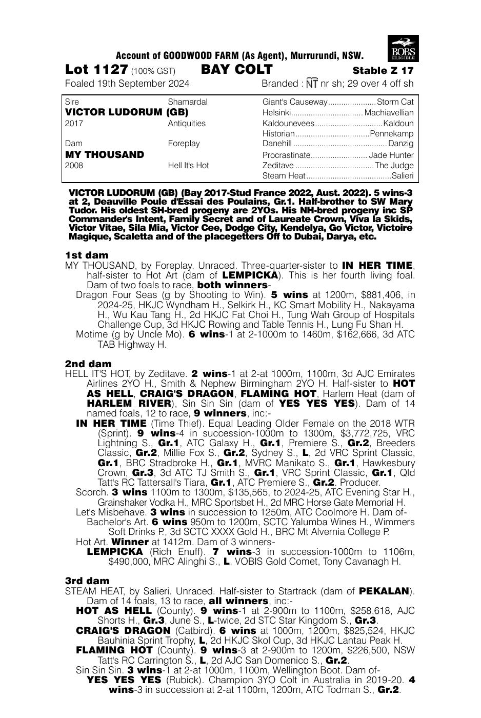 Pedigree - Lot 1127