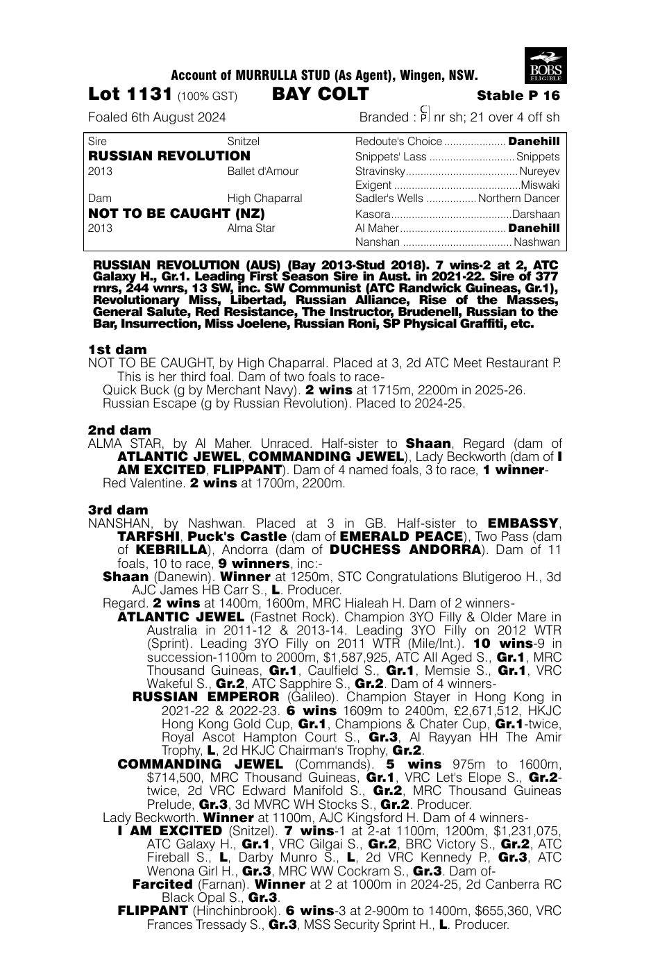 Pedigree - Lot 1131