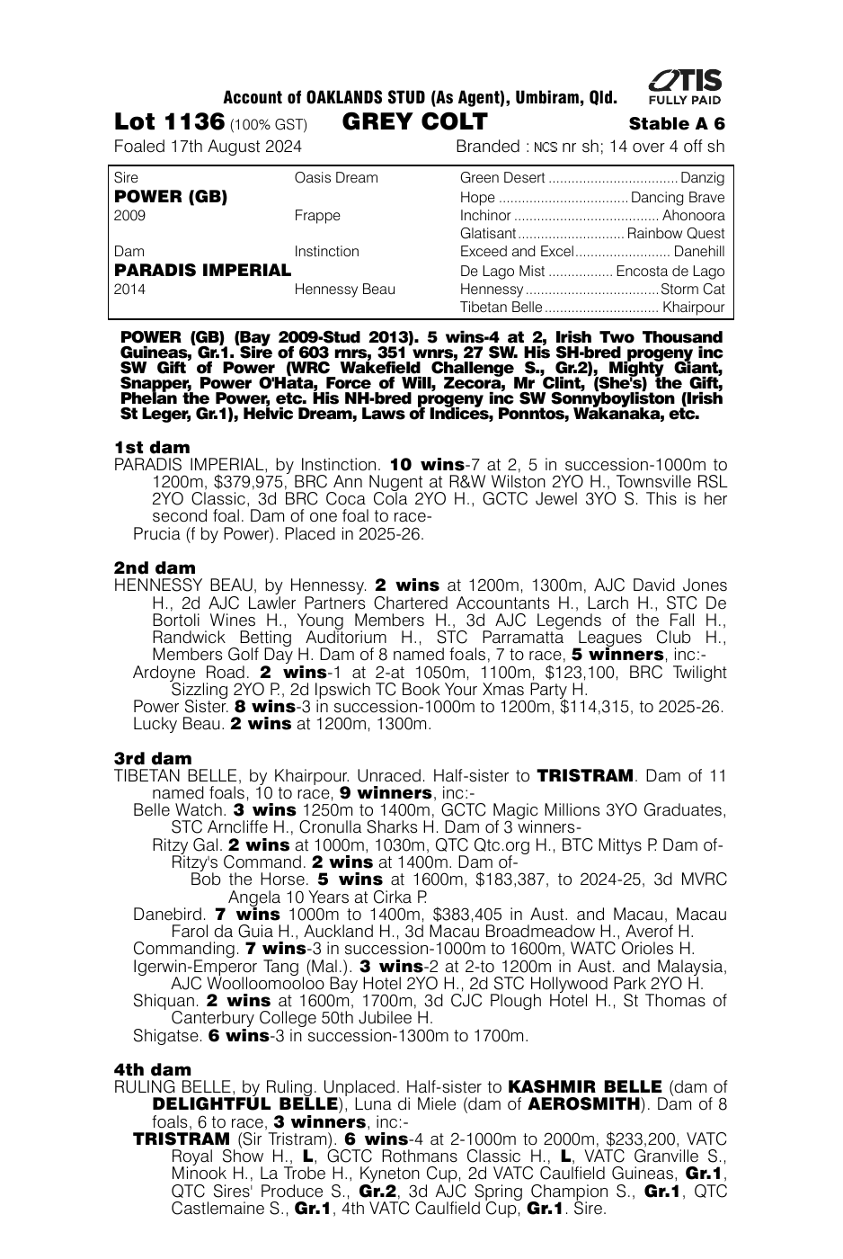Pedigree - Lot 1136