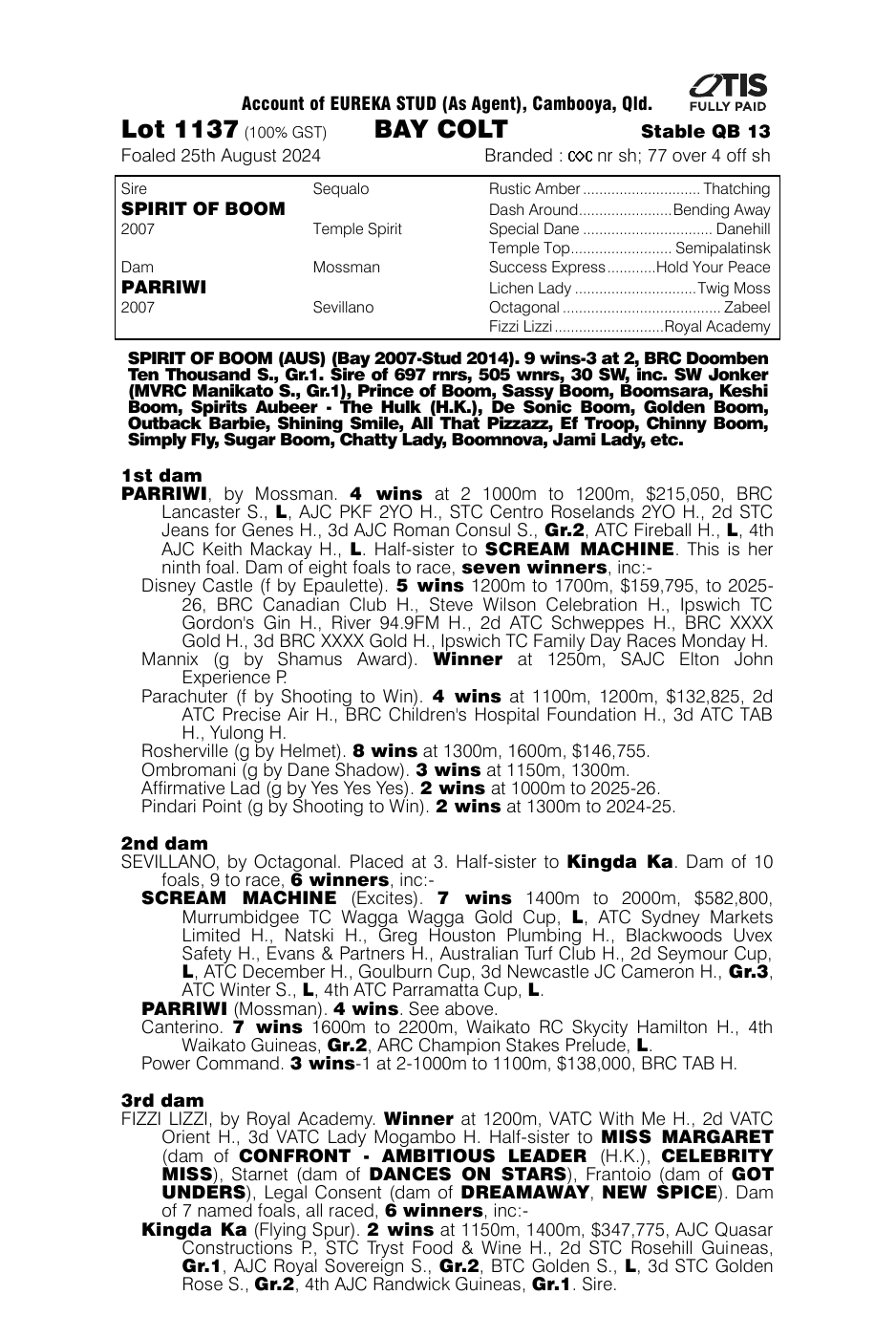 Pedigree - Lot 1137
