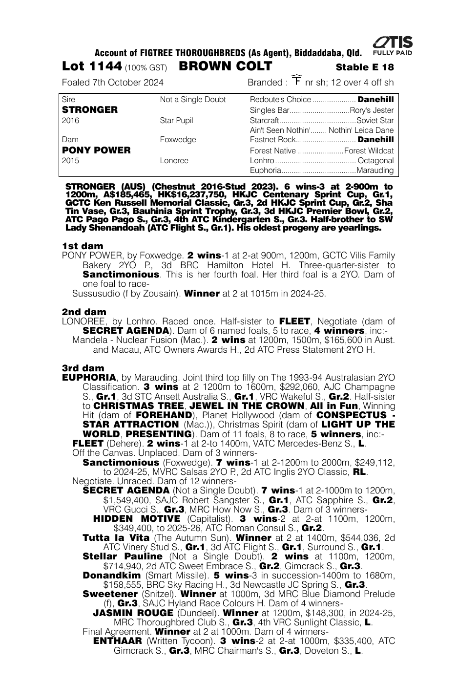 Pedigree - Lot 1144